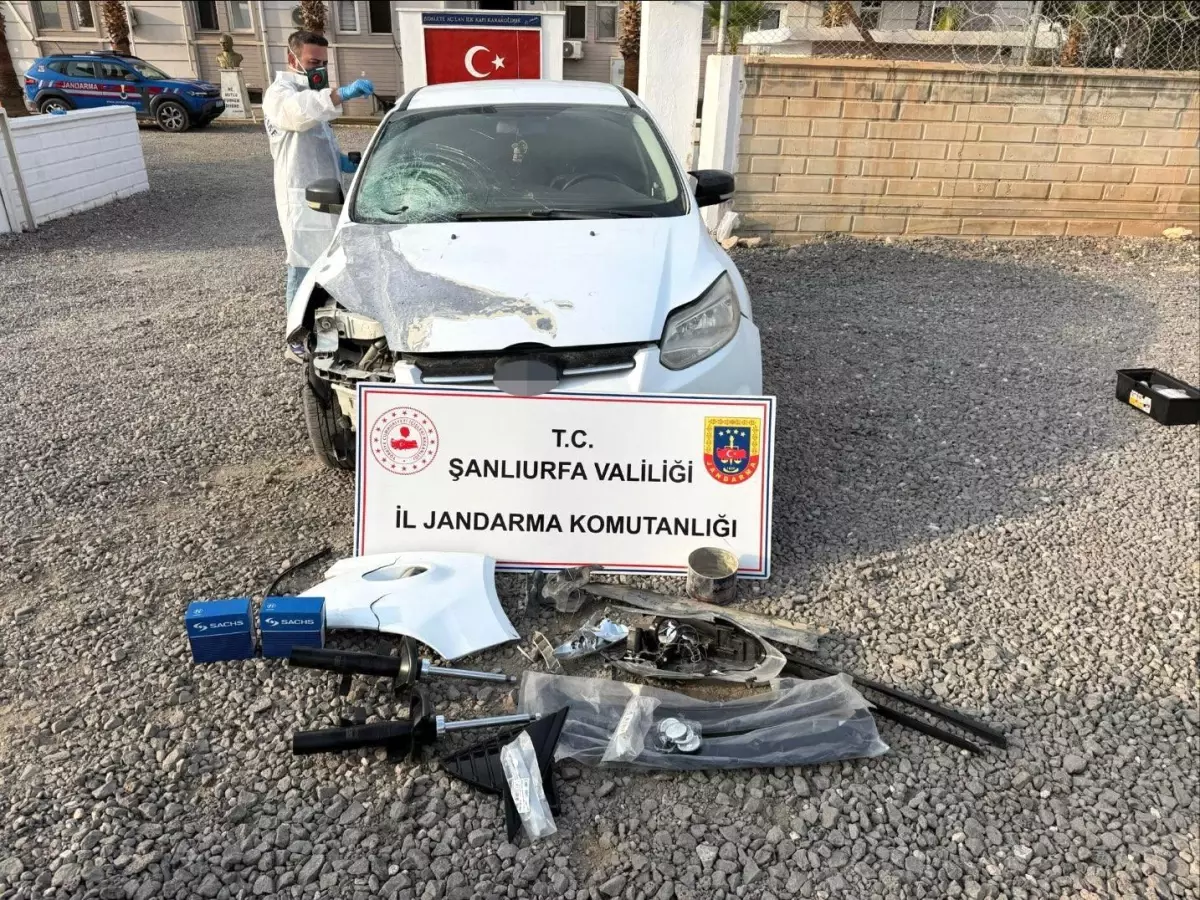 Yol kenarında ölü bulunmuştu! Sır perdesi aralandı