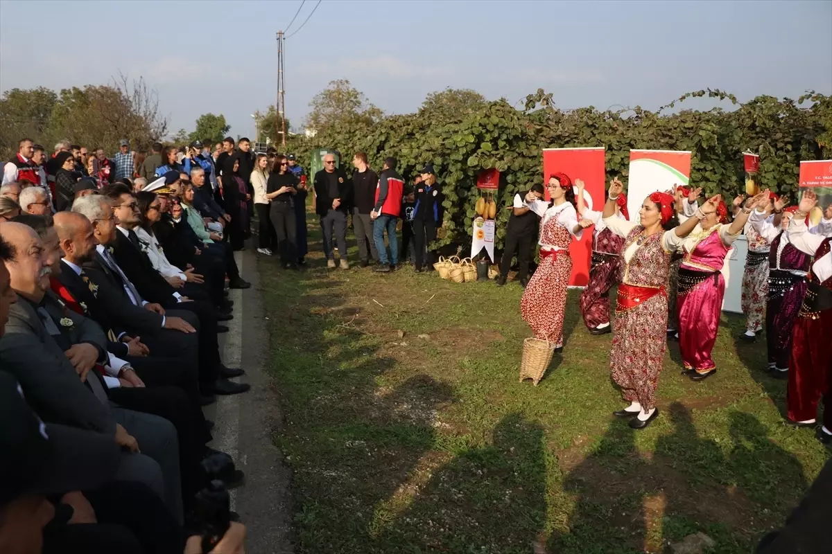 Yalova\'da Coğrafi İşaretli Kivi Hasadı Başladı