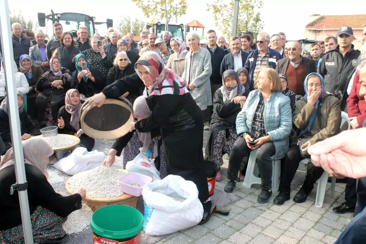 Manyas\'ta 1. Kazak Fasulyesi Hasat Festivali Düzenlendi