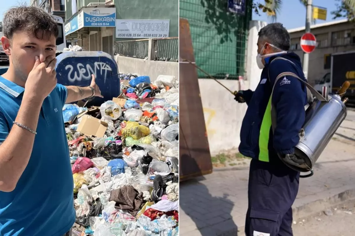 Çöp krizi istilaya dönüştü, şehir dört koldan ilaçlanıyor