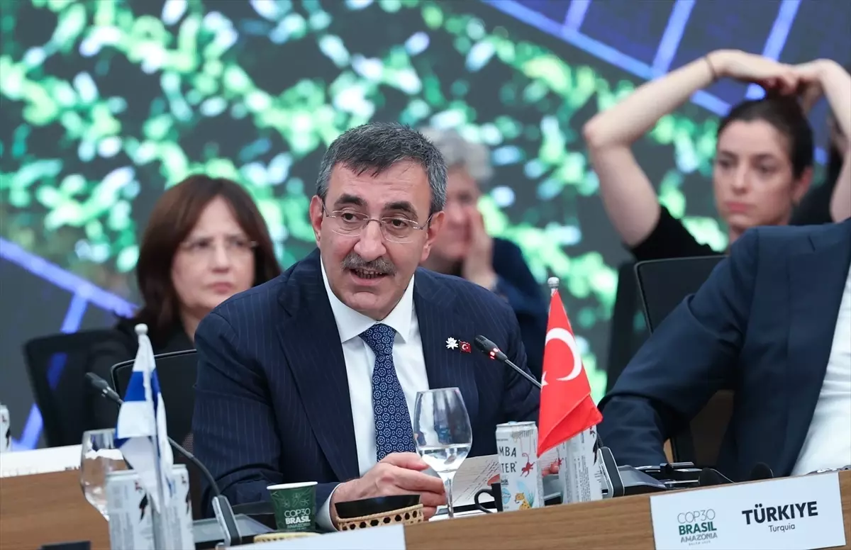 Türkiye Enerji Dönüşümünü Hedefliyor