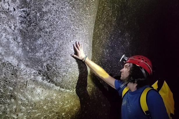 Dünyanın en büyük örümcek ağı keşfedildi