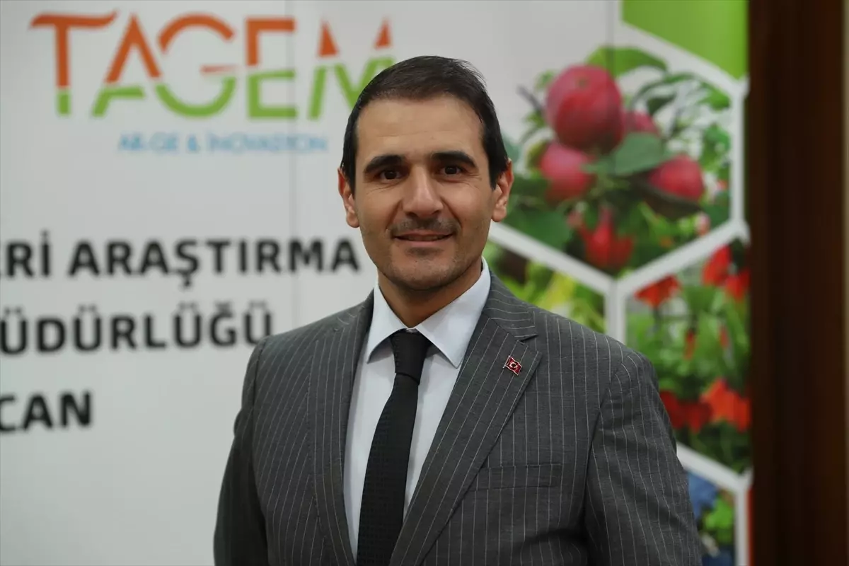 Erzincan’da Yeni Fasulye Çeşidi Tescillendi