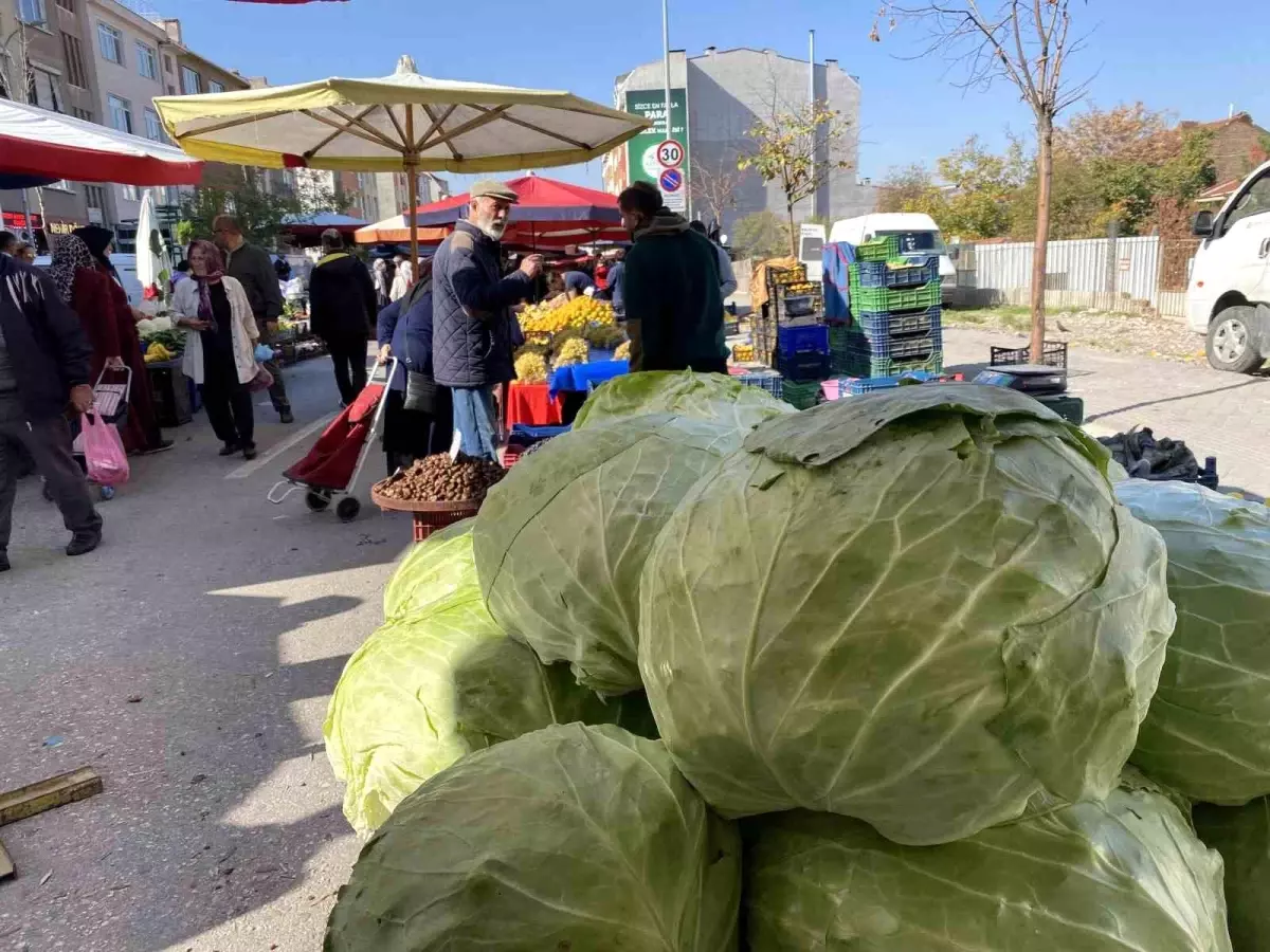 Eskişehir\'de Dev Lahanalara İlgi