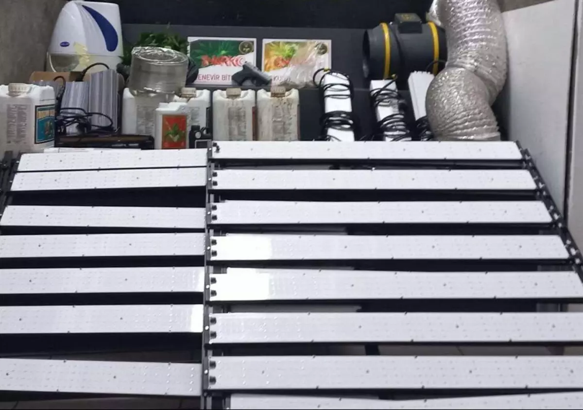 İzmir\'de Hint Keneviri Operasyonu