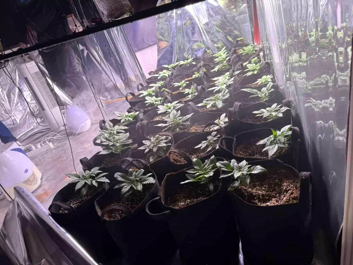 İzmir\'de Uyuşturucu ve Silah Operasyonu