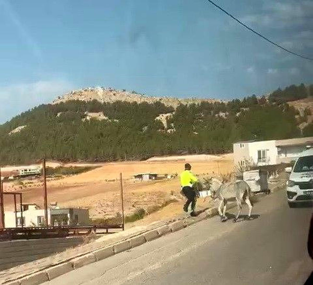 Adıyaman\'da Trafiği Tehdit Eden Eşeğe Müdahale