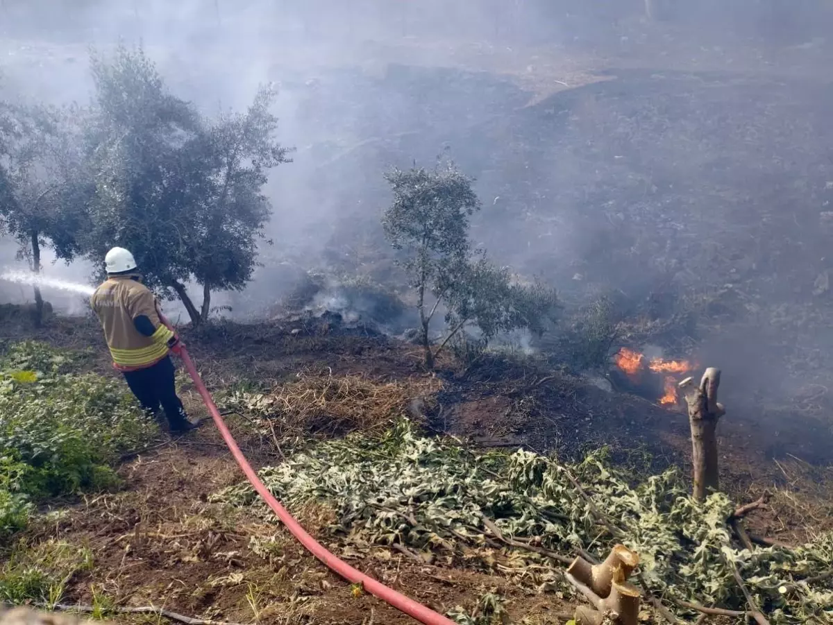 Hatay\'da Bahçe Yangını Büyümeden Söndürüldü