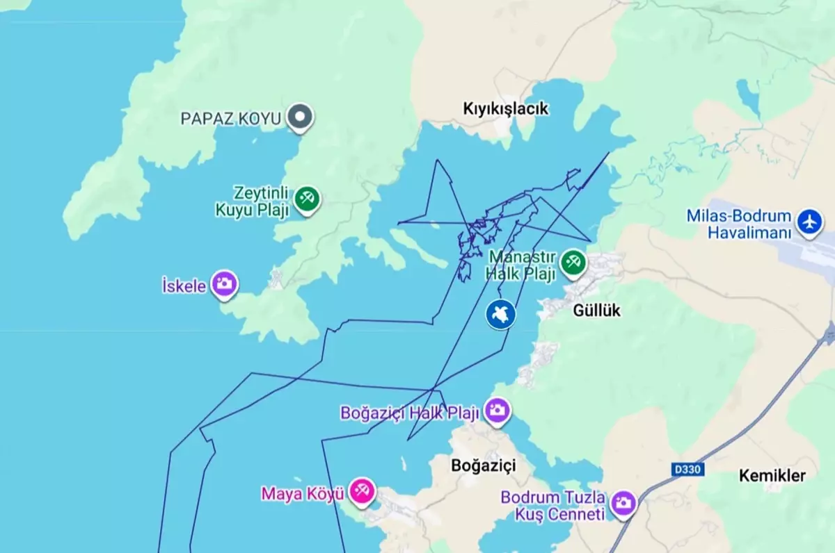 Lansinoh\'un 2.000 km\'lik Yolculuğu