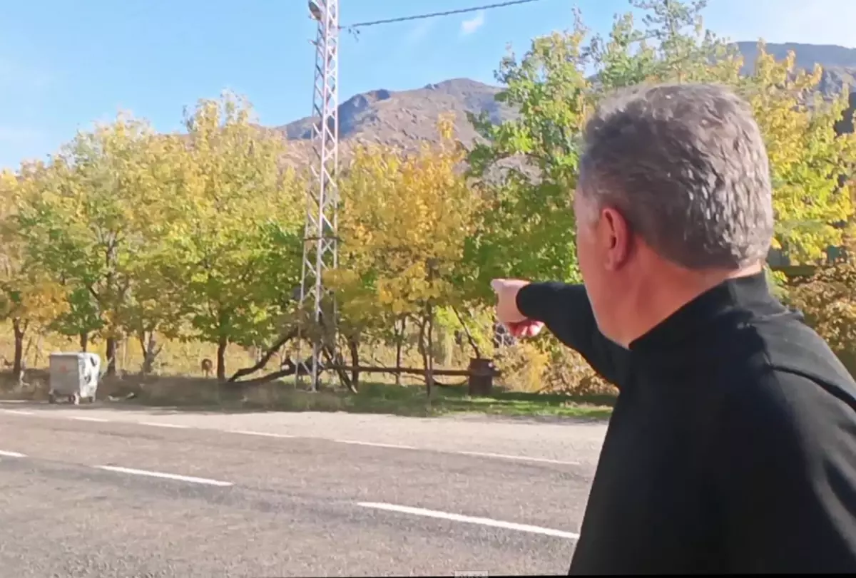 Yaban Keçileri Ormanağzı\'nda Yaşamaya Devam Ediyor