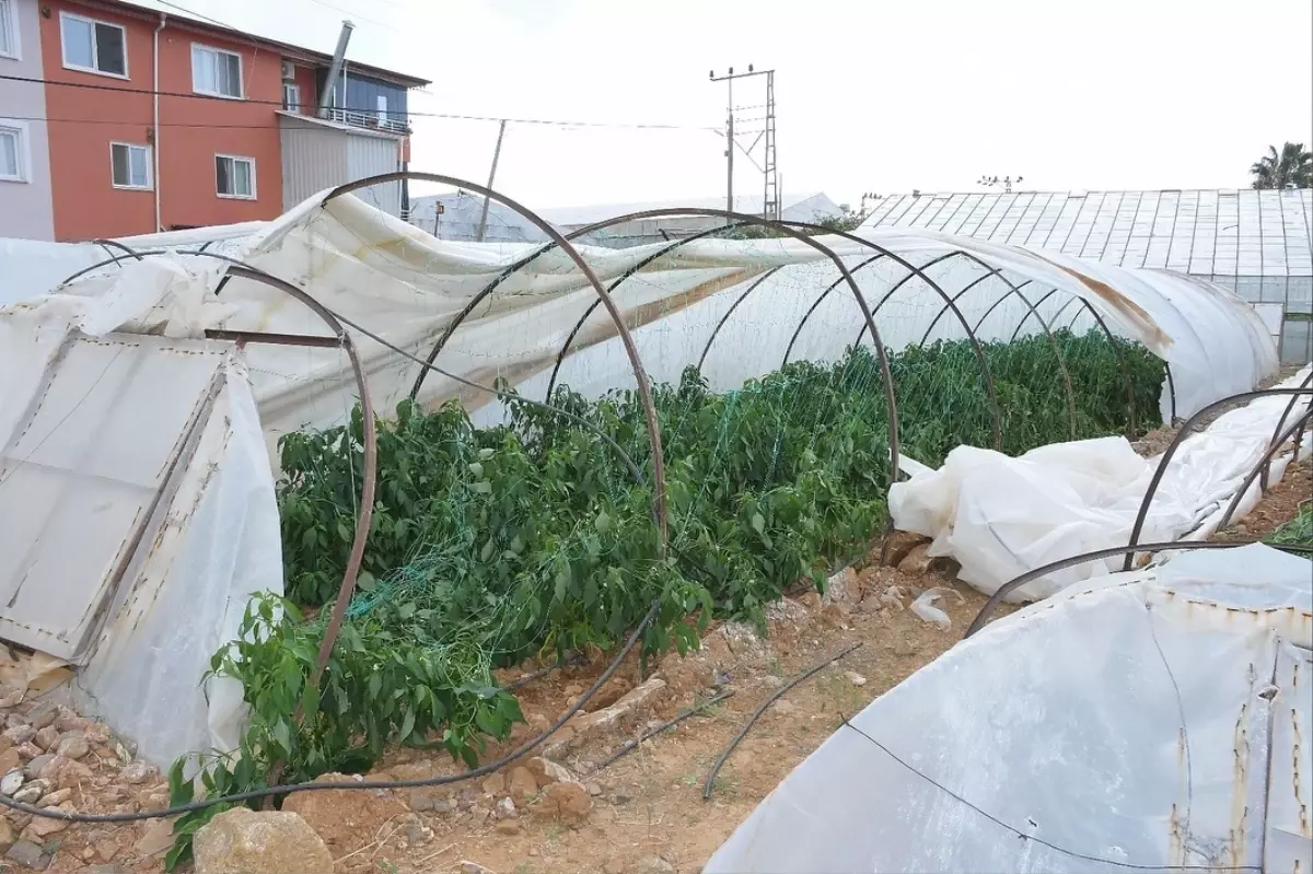 Bozyazı\'da Hortum Seraları Vurdu