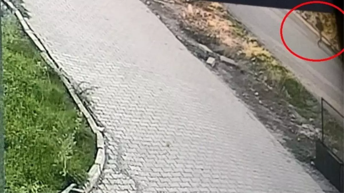 Elazığ\'da Kayıp Otizmli Çocuk Aranıyor