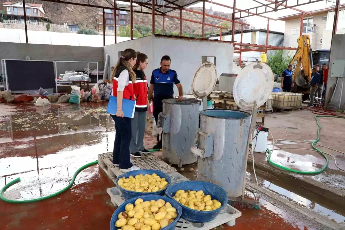 Antalya\'da Sağlıksız Patates İşletmesine Denetim: Tonlarca Patates İmha Edildi