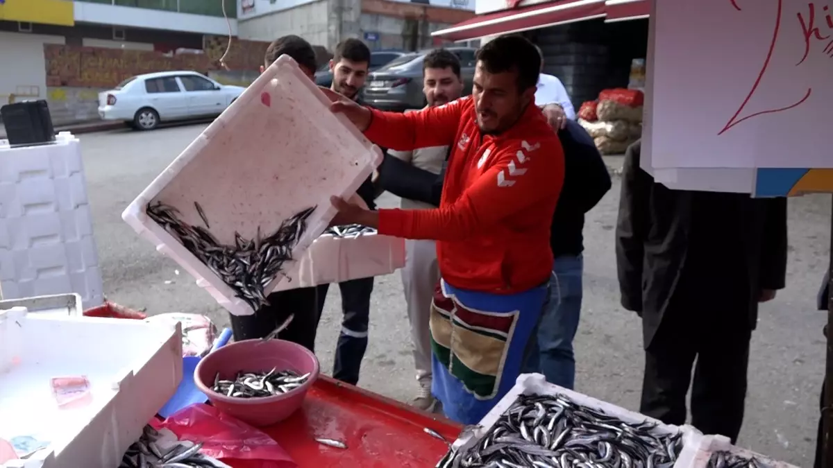 Samsunspor\'un Başarısına Özel Balık İndirimi