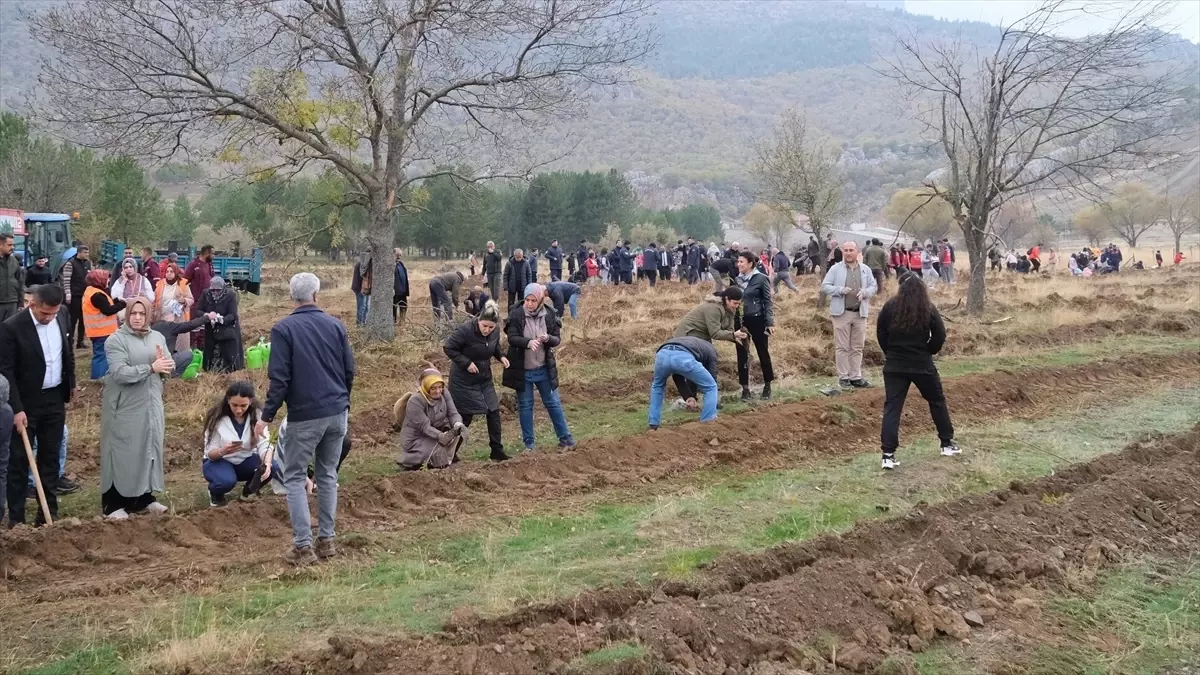 Seydişehir\'de Fidan Dikim Etkinliği