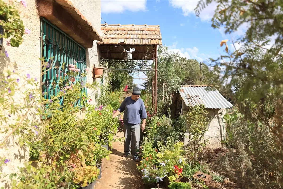 Amir Receb\'in Bitki Koleksiyonu Tehdit Altında