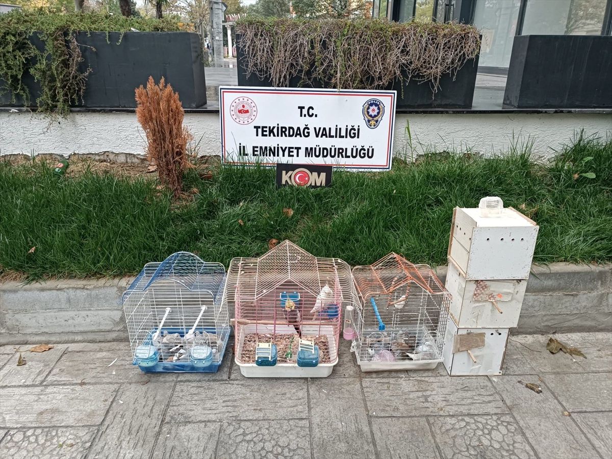 Tekirdağ\'da Yasa Dışı 52 Kuş Ele Geçirildi