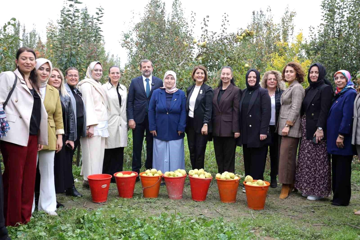 Kadınlar Gürsu\'da Armut Hasadında Buluştu