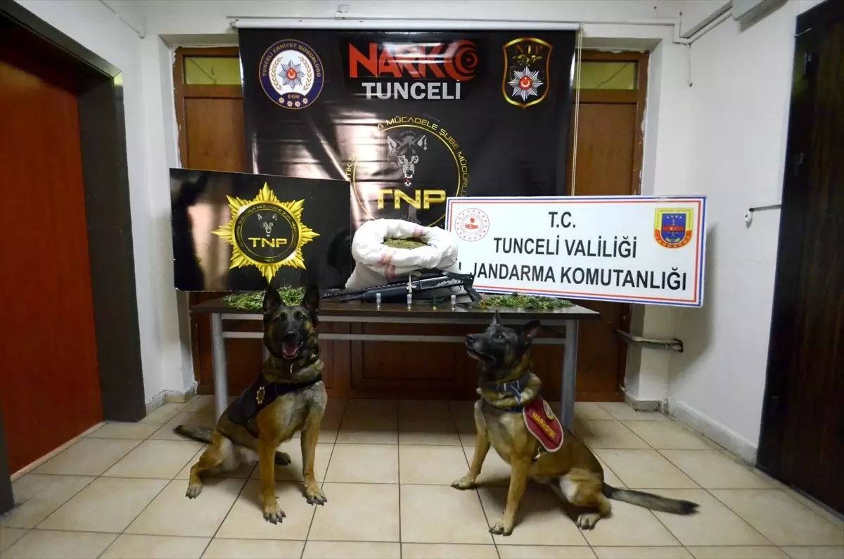 Tunceli\'de Uyuşturucu Operasyonu: 2 Gözaltı