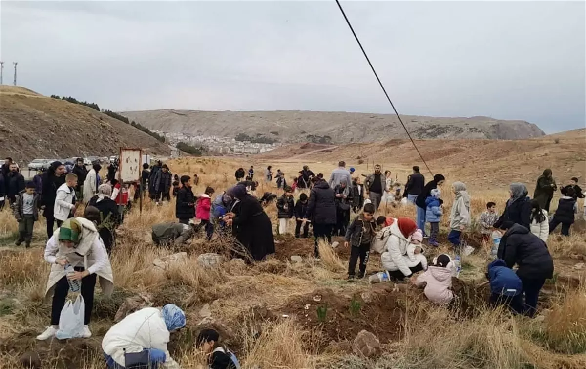 Zara\'da Öğrencilerden Hatıra Ormanı