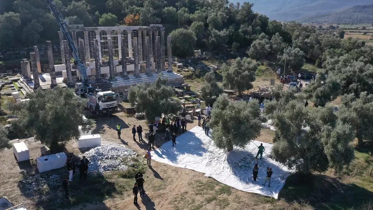 Milas\'ta Zeytin Hasat Şenliği