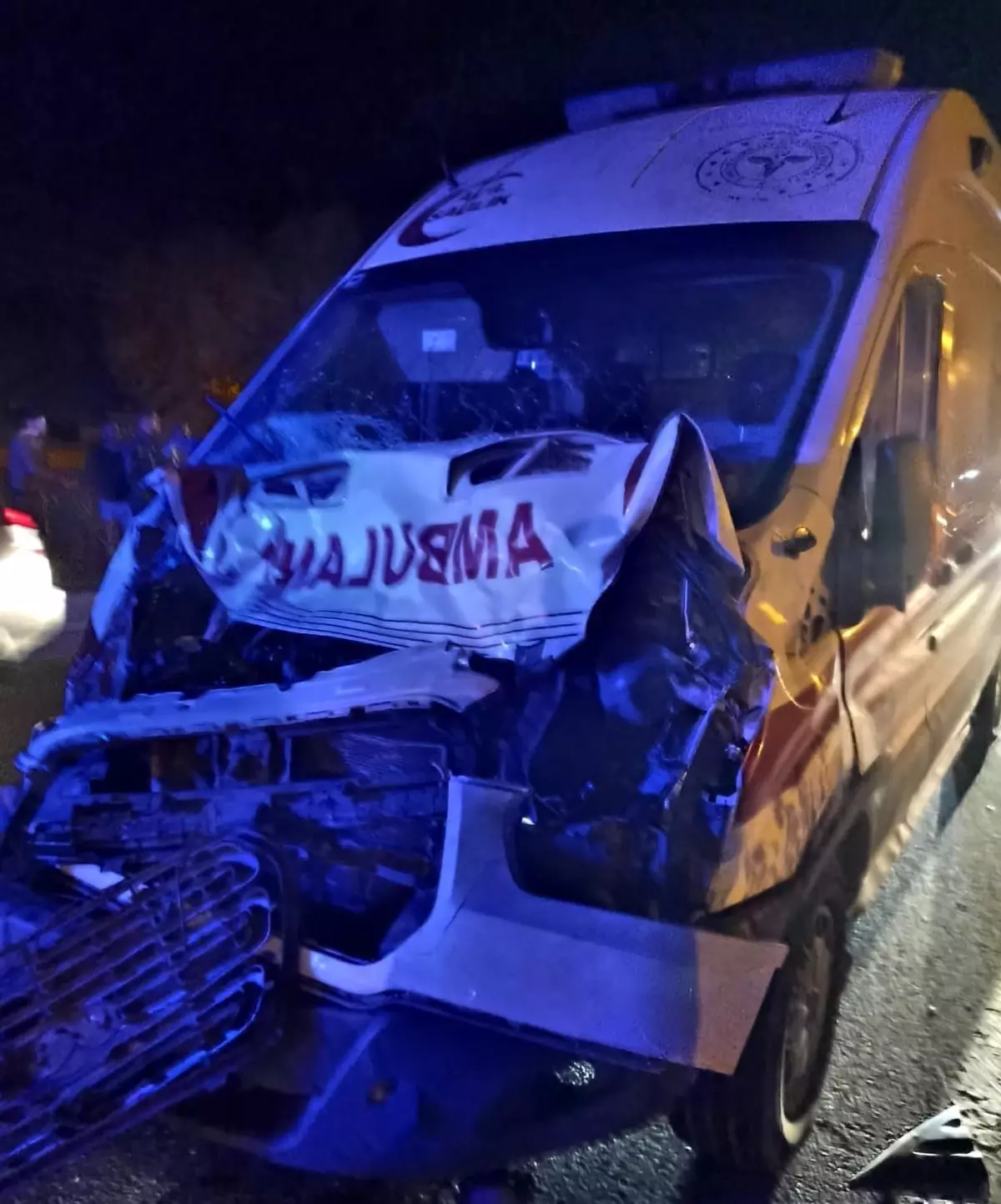 Ambulans Manda ile Çarpıştı