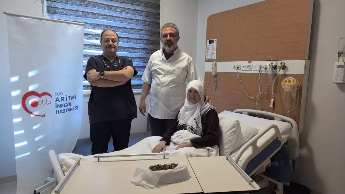 Bursa\'da 213 Safra Taşı Operasyonu