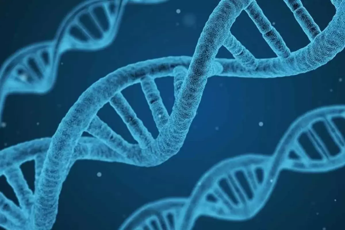 DNA\'nın yapısını keşfeden Nobel ödüllü bilim insanı James Watson hayatını kaybetti