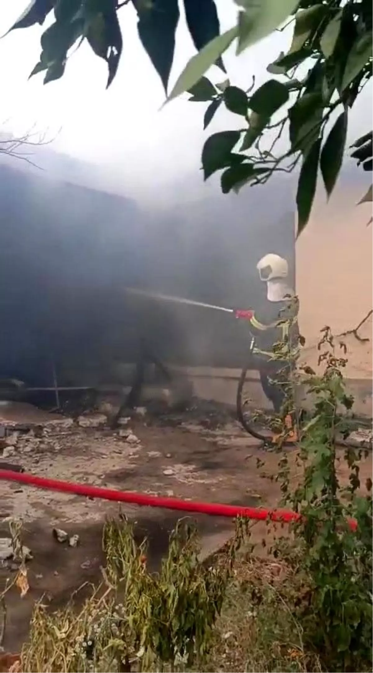 Ceyhan\'da Yangın: Engelli Kadın Hayatını Kaybetti