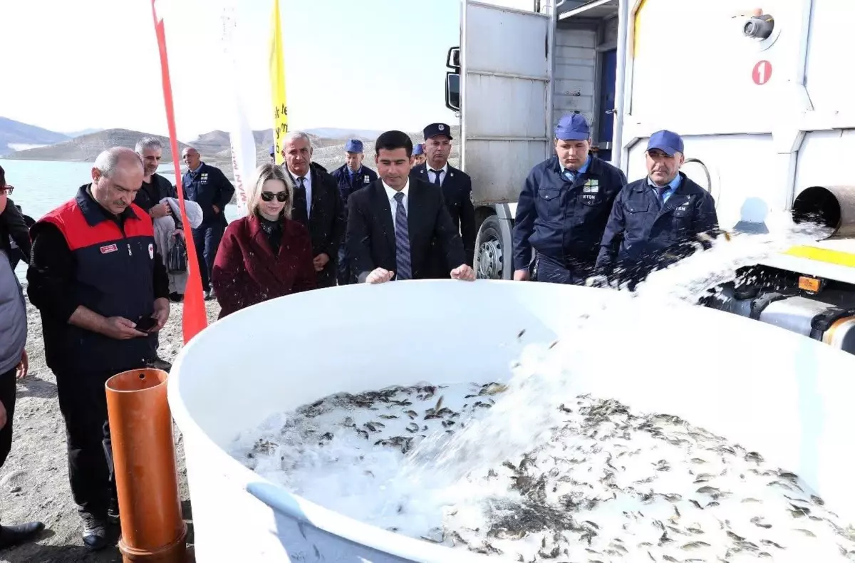Nahçıvan\'a 300 Bin Sazan Balığı Yavrusu Hibe Edildi