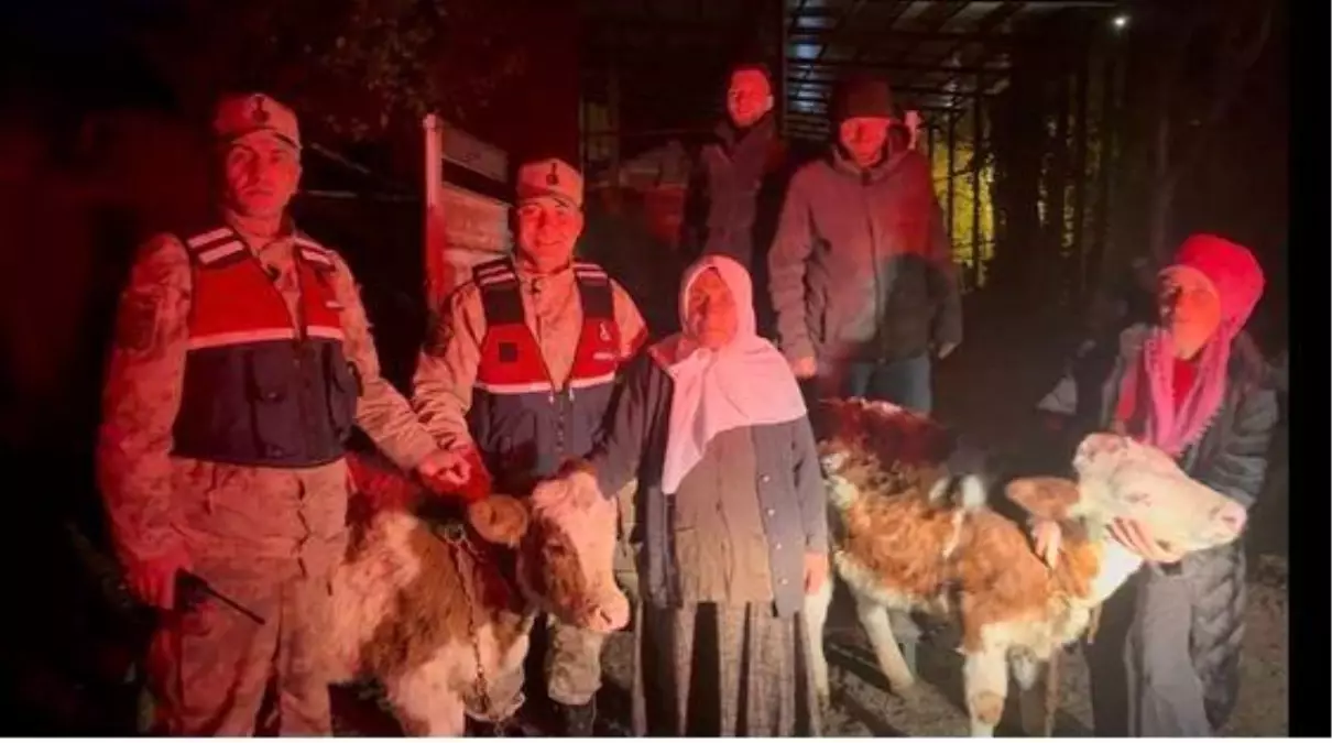 Çalınan Hayvanlar Bulundu