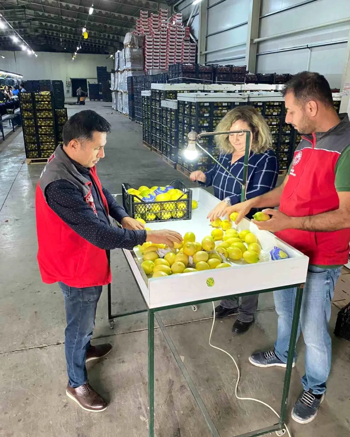 Ortaca\'dan İhracata Onay