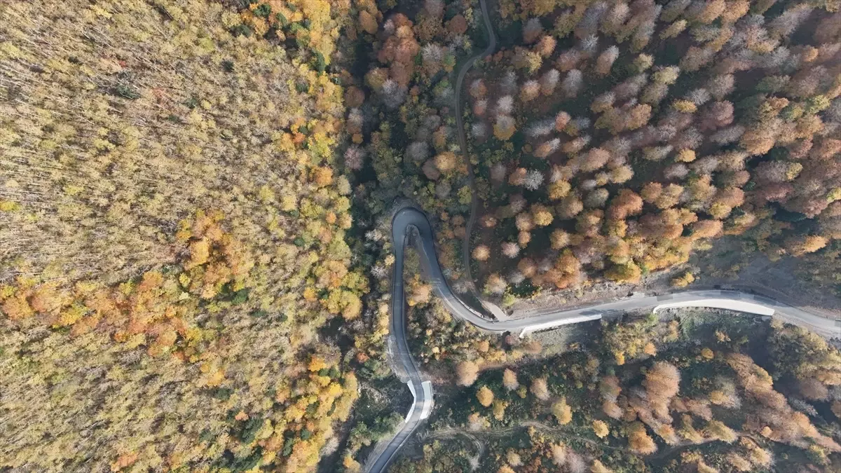 Sonbahar Renkleri Sinop\'ta