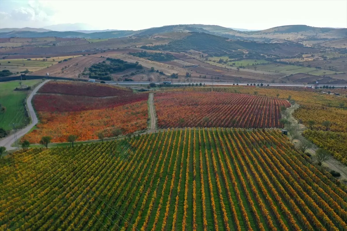 Kula\'da Sonbahar Renkleri