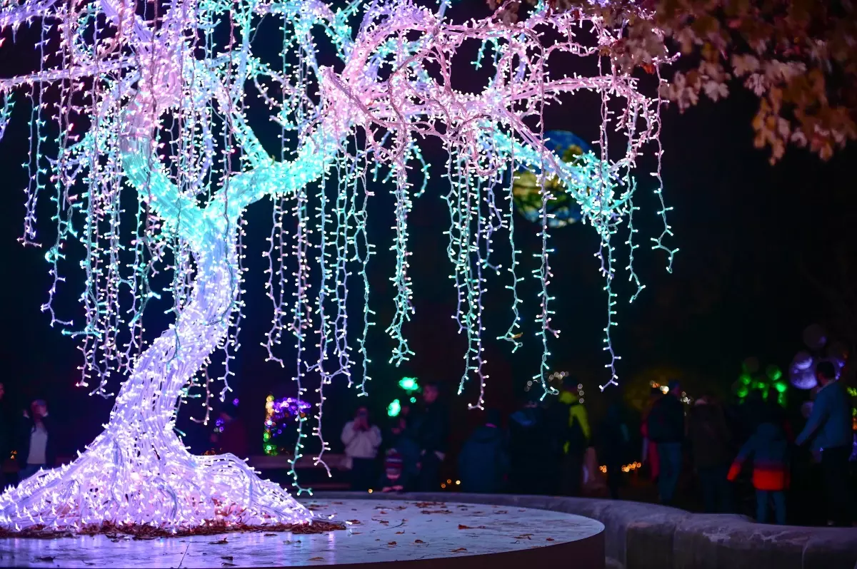 Varşova\'da Sihirli Botanik Bahçesi Işık Gösterisi
