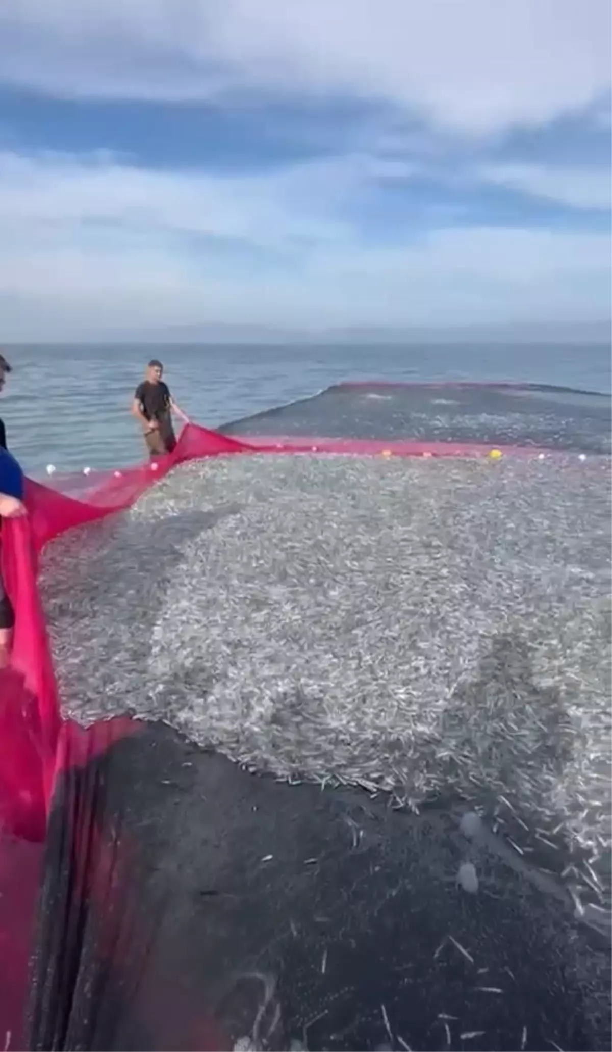 İznik Gölü\'nde Rekor Balık Avı