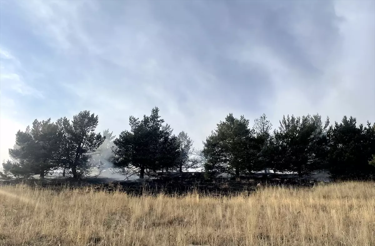 Kars\'ta Orman Yangını: 1,5 Hektar Zarar