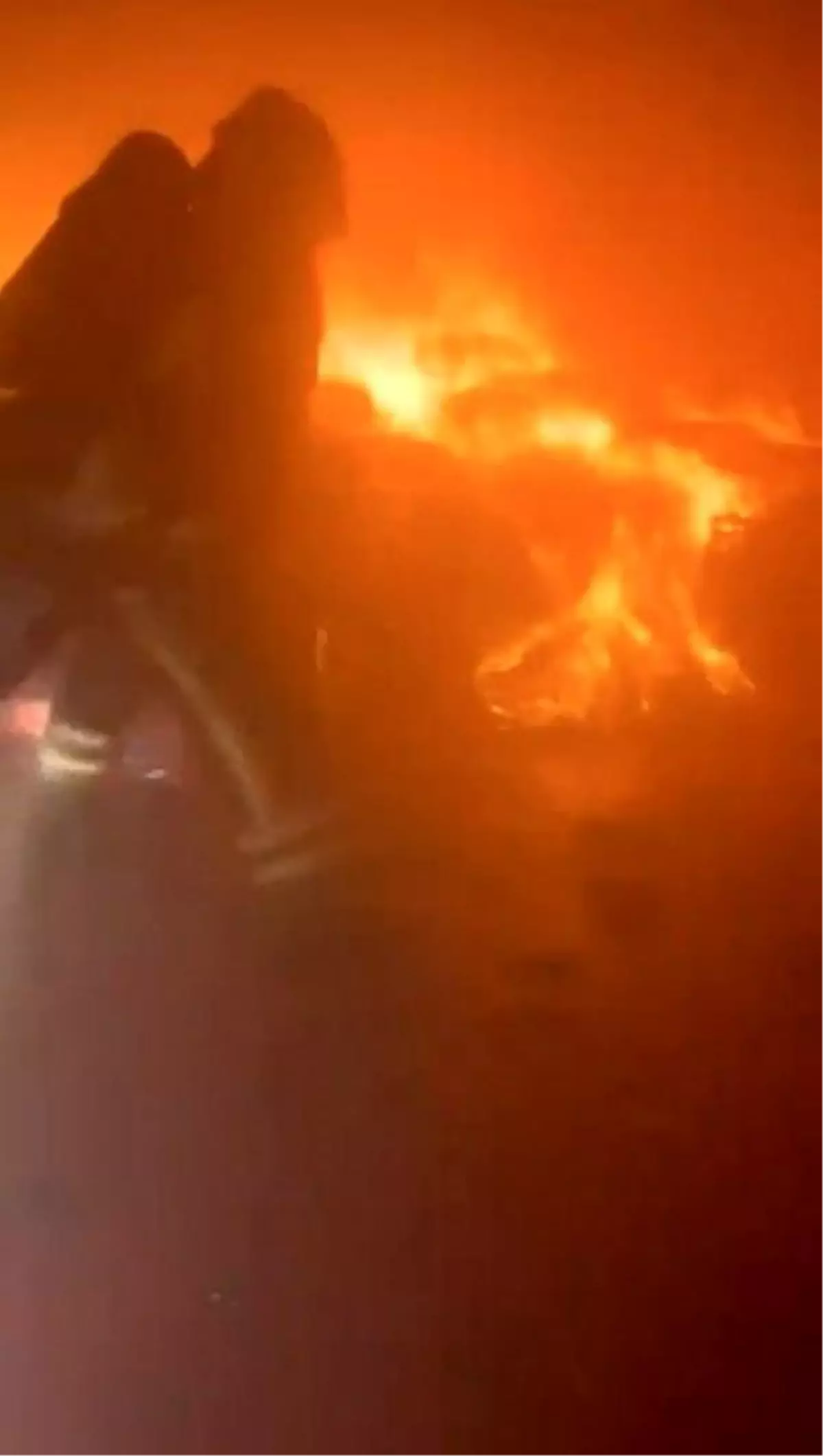 Bursa\'da Kuruyemiş Fabrikasında Yangın