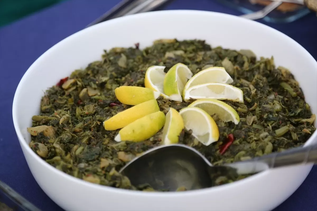 Milas Zeytin Hasat Şenliği Sona Erdi