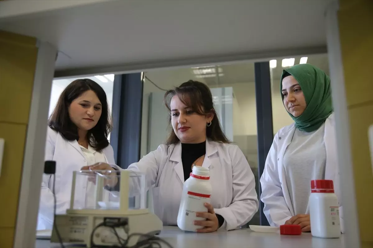 Biyopolimer ile Tohum Kaplama İnovasyonu