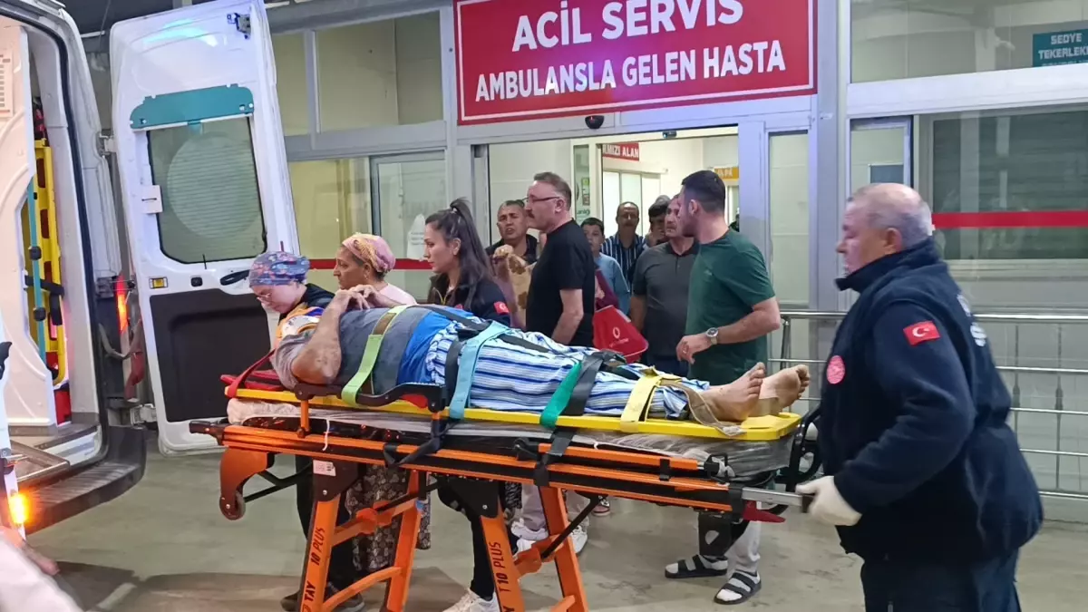 Zeytin Bahçesinde Düşen Yaşlı Adam Yaralandı