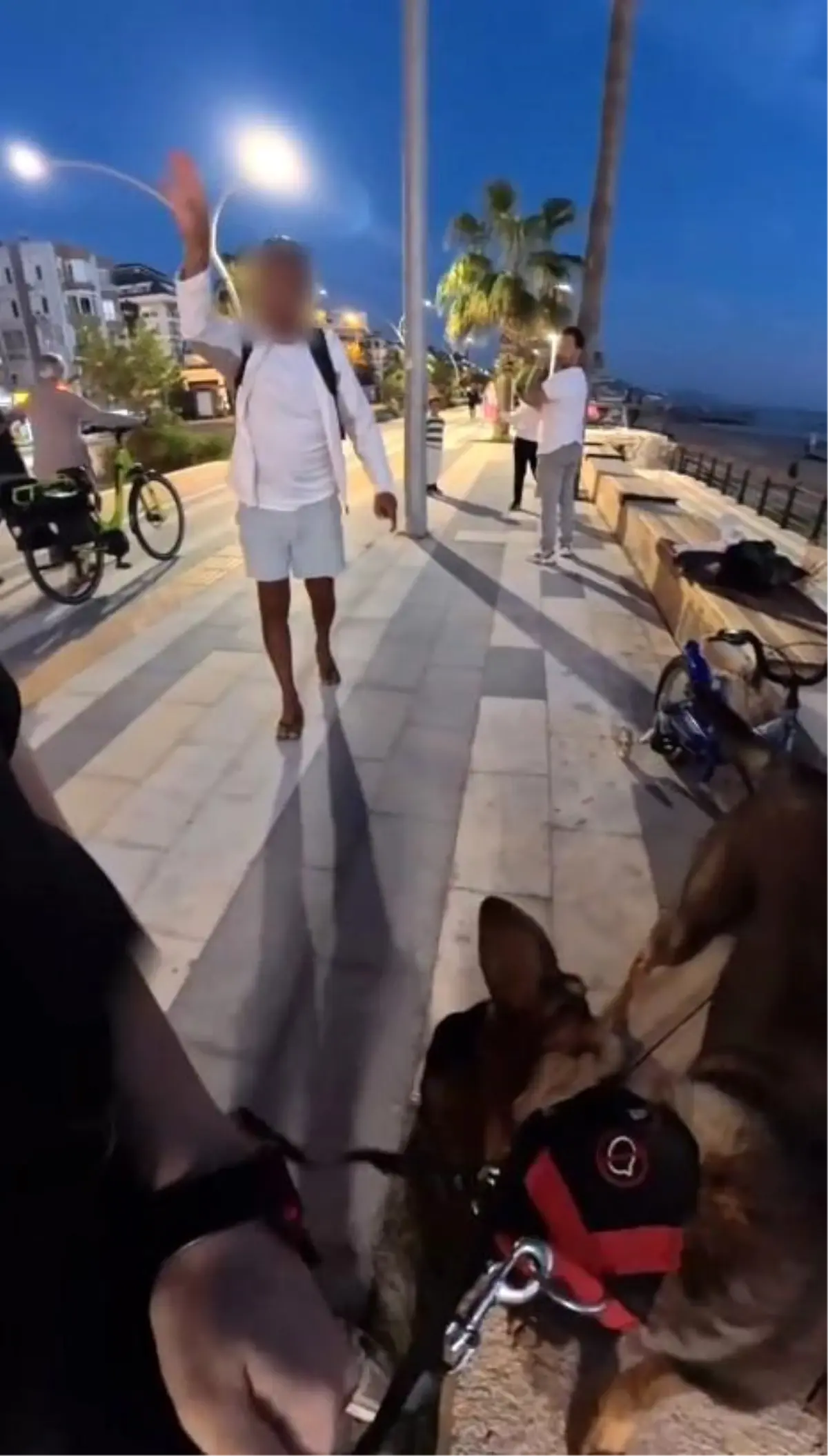 Alanya\'da Köpeği Tehdit Eden Alkollü Şahıs