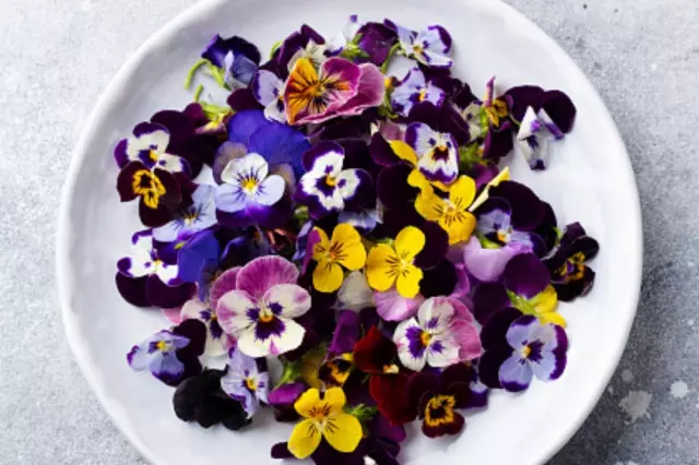 Gastronomide yeni trend: Yenilebilir çiçekler gündemde