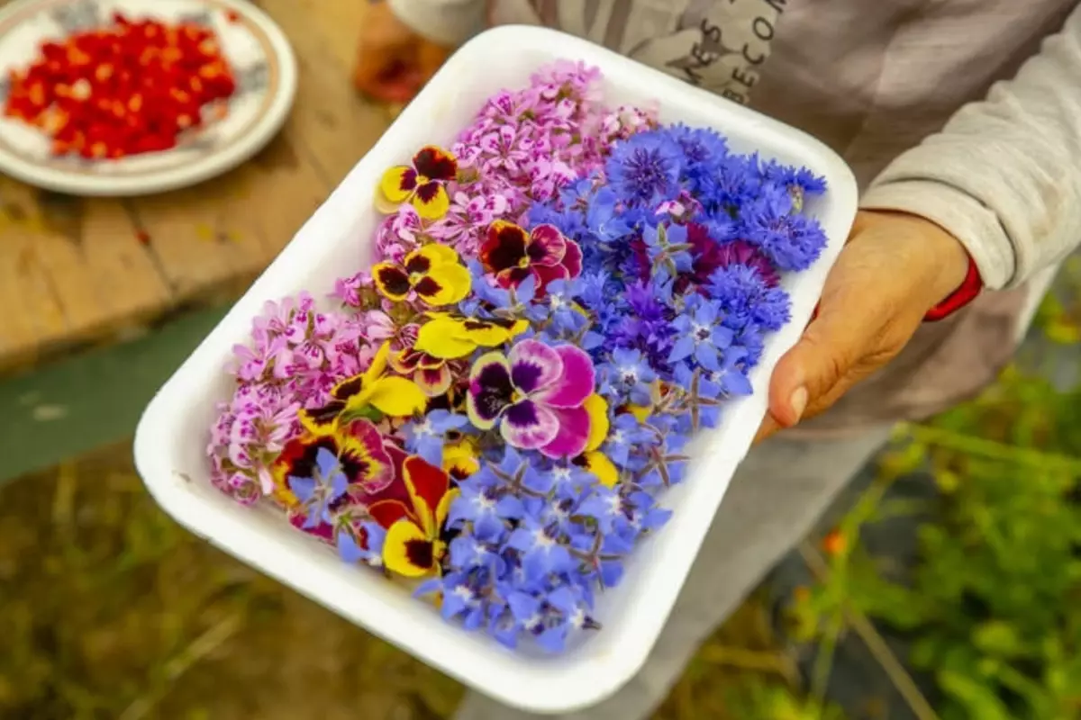 Gastronomide yeni trend: Yenilebilir çiçekler gündemde