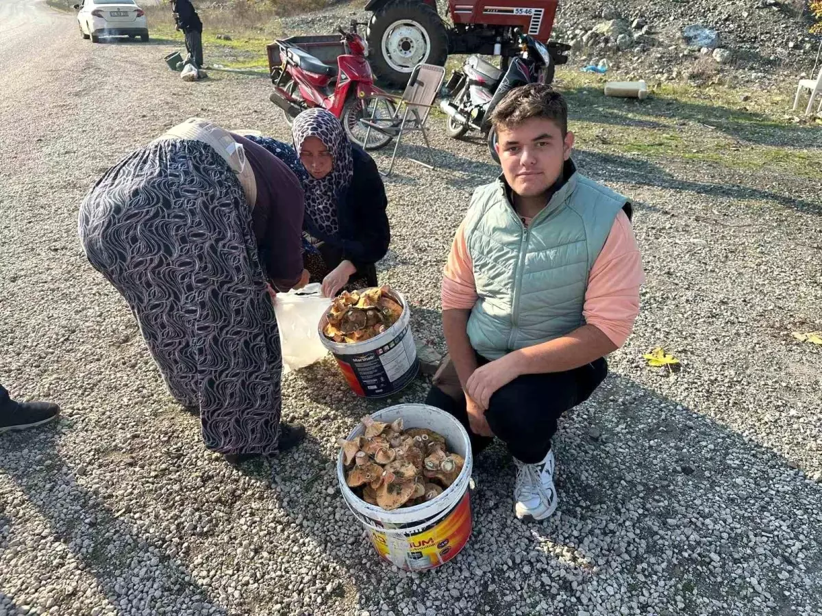 Bursa\'da Lise Öğrencileri Mantar Satarak Harçlık Kazanıyor