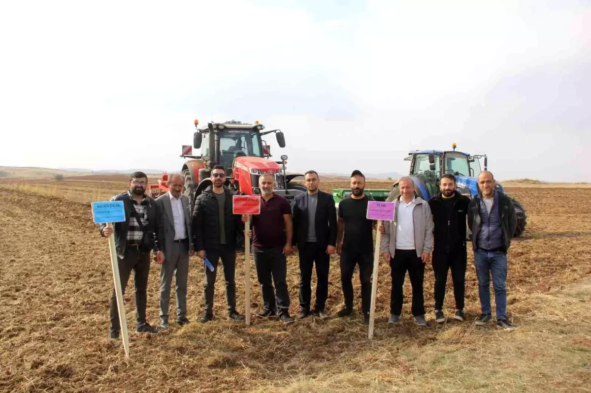 Sivas\'ta Yeni Buğday Çeşitleri Ekildi