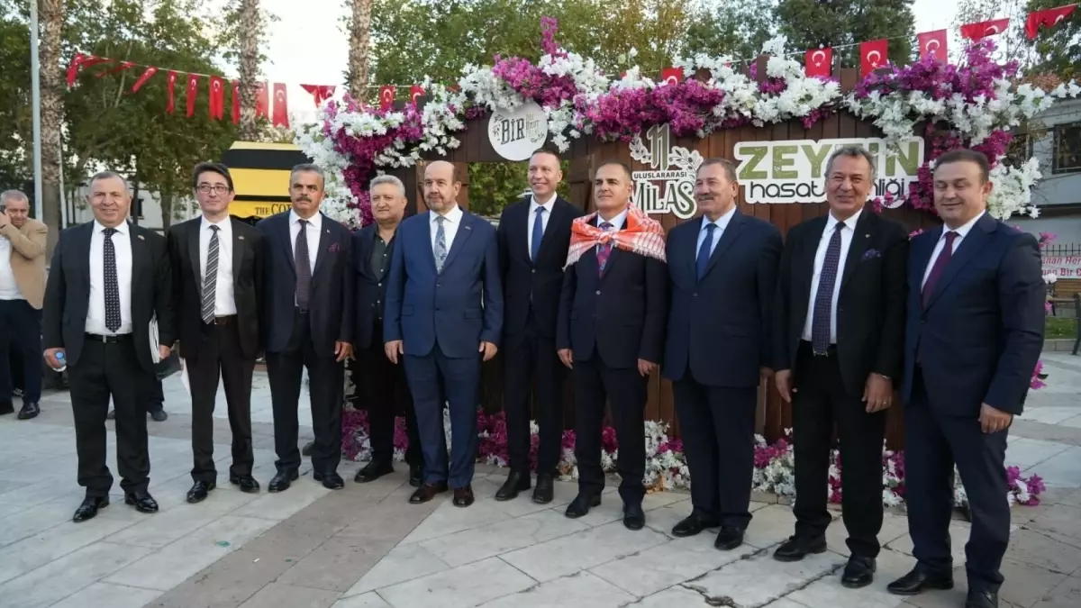 Milas Zeytin Hasat Şenliği 11. Kez Yapıldı