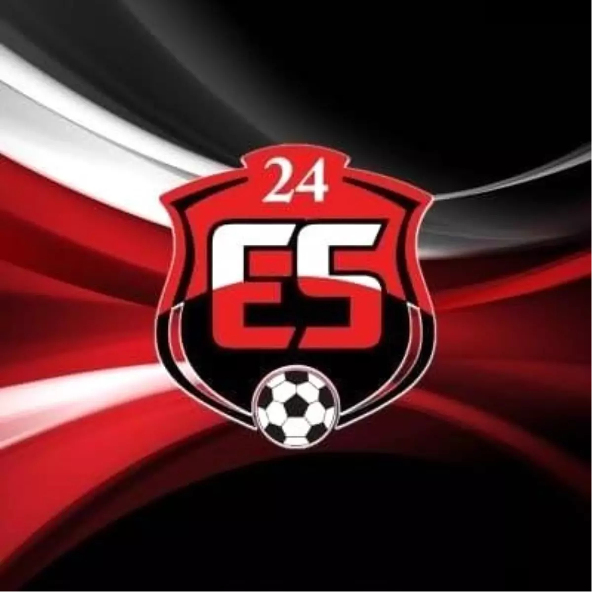 Erzincanspor\'dan PFDK Açıklaması