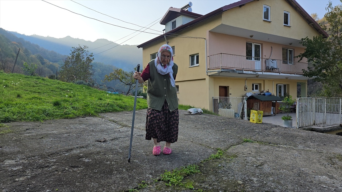 89 Yaşında Resim Sanatına Tutku