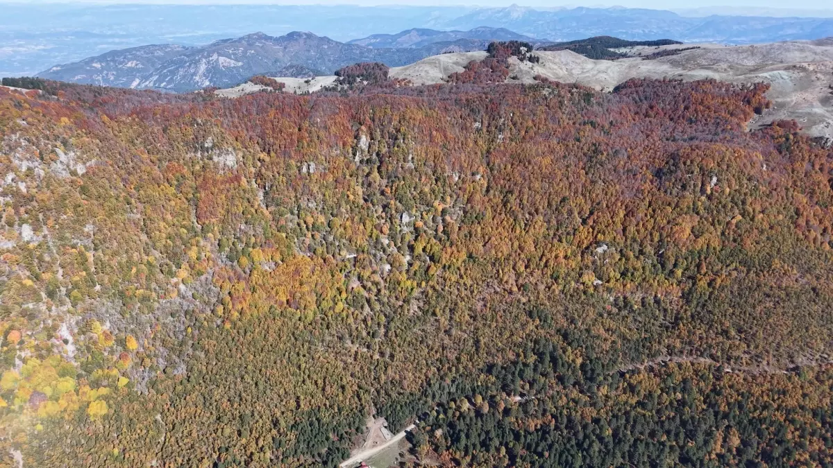 Amanos Dağları\'nda Sonbahar Güzellikleri